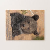 灰色グマカブス ジグソーパズル (横)