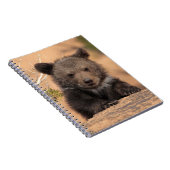 灰色グマカブス ノートブック (右側)