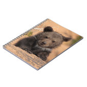 灰色グマカブス ノートブック (左側)