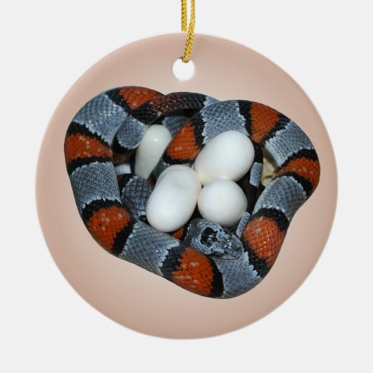 灰色バンドを付けられたkingsnake セラミックオーナメント (正面)