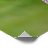 灰色フクロウ素晴らしハガキ正方形ステッカーのポートレート ポスター (角)