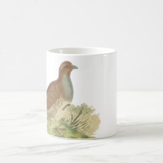 灰色ヤマウズラのGamefowlの写真 コーヒーマグカップ (中央)