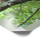 灰色リスとナッツ フォトプリント            (角)