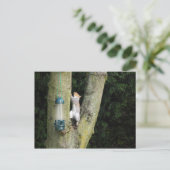 灰色リスのカード ポストカード (スタンド正面)