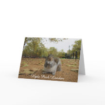 灰色リスのハイドパークロンドン。