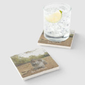 灰色リスのハイドパークロンドン。 ストーンコースター (横)