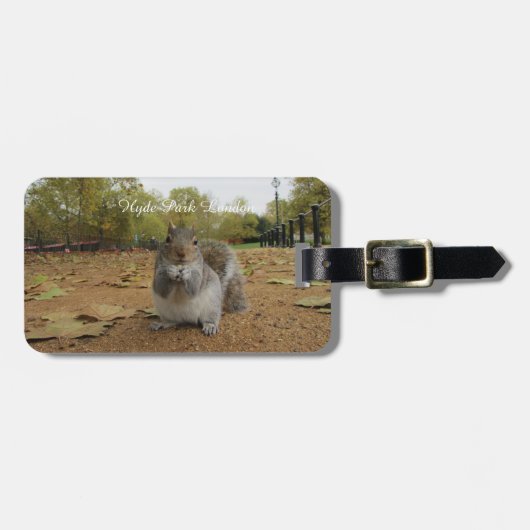 灰色リスのハイドパークロンドン。 ラゲッジタグ (正面横)