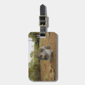 灰色リスのハイドパークロンドン。 ラゲッジタグ (正面縦)