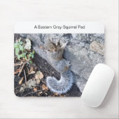 灰色リスの東部マウスパッド マウスパッド (マウス)