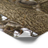 灰色リスの東食べ物の花のオーク ポスター (角)