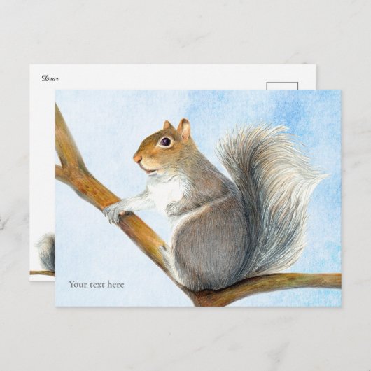 灰色リスの水色絵画のはがき ポストカード (正面/裏面)