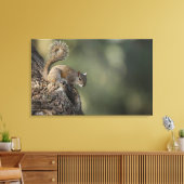 灰色リスまたは灰色リス キャンバスプリント (インサイチュ (リビング))