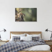 灰色リスまたは灰色リス キャンバスプリント (インサイチュ (寝室))