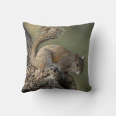 灰色リスまたは灰色リス クッション (裏面)