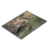 灰色リスまたは灰色リス ノートブック (左側)