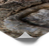 灰色リスまたは灰色リス ポスター (角)