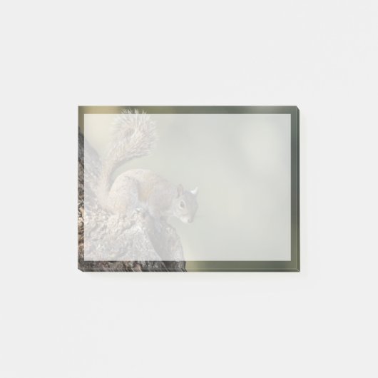 灰色リスまたは灰色リス ポストイット (正面)