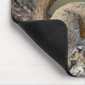 灰色リスまたは灰色リス マウスパッド (コーナー)