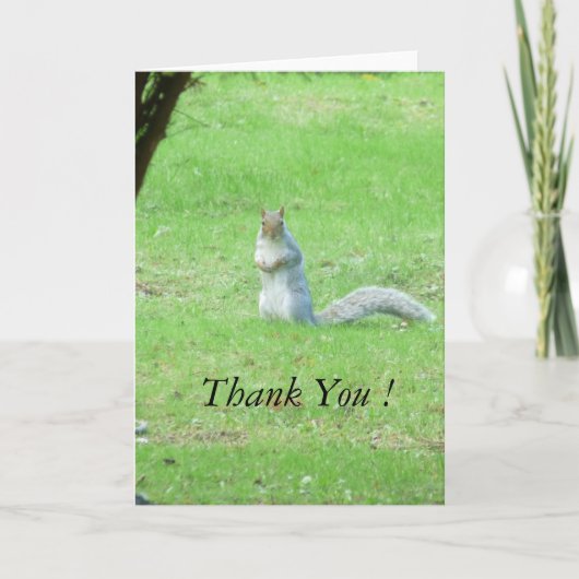 灰色リスサンキューカード サンキューカード (正面)