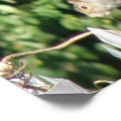 灰色リスプリント ポスター (角)