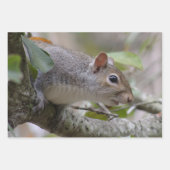 灰色リス保の腕時計 ラッピングペーパーシート (正面3)