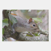 灰色リス保の腕時計 ラッピングペーパーシート (正面2)