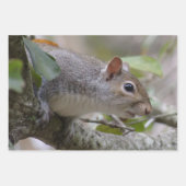 灰色リス保の腕時計 ラッピングペーパーシート (正面)