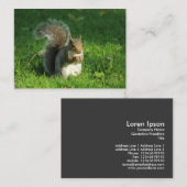 灰色リス食べ物ルのナッツ、ビュートパーク、カーディフ 名刺 (正面/裏面)