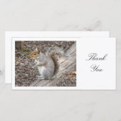 灰色リス – ありがとう サンキューカード (正面/裏面)