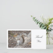 灰色リス – ありがとう サンキューカード (スタンド正面)