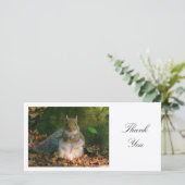 灰色リス – ありがとう サンキューカード (スタンド正面)