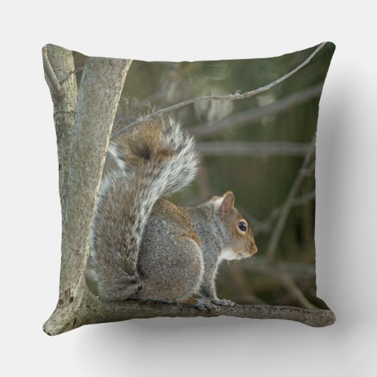 灰色リス クッション (裏面)