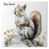 灰色リス タイル (正面)