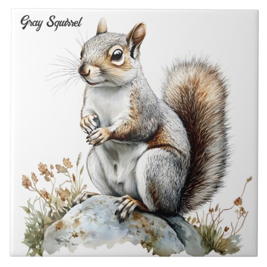 灰色リス タイル (正面)