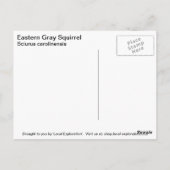 灰色リス ポストカード (裏面)