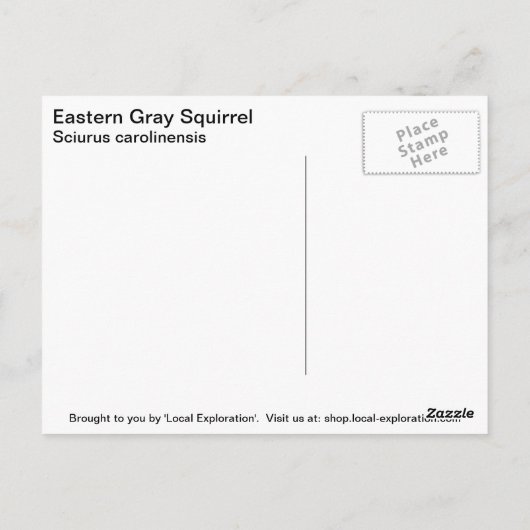灰色リス ポストカード (裏面)