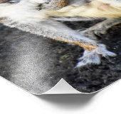 灰色リス（メス） フォトプリント            (角)