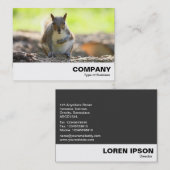 灰色リス 名刺 (正面/裏面)