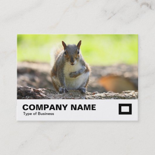 灰色リス 名刺 (正面)