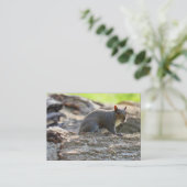 灰色リス 名刺 (スタンド正面)