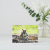 灰色リス 名刺 (スタンド正面)