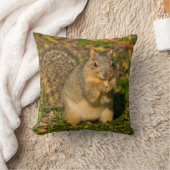 灰色リス、食べ、ピーナッツ、クリスタル春 クッション (ブランケット)
