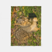 灰色リス、食べ、ピーナッツ、クリスタル春 フリースブランケット (正面)