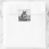 灰色リス – Bute Park, Cardiff, Wales, UK スクエアシール (バッグ)