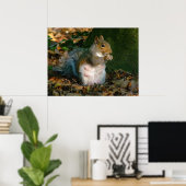 灰色リス – Bute Park, Cardiff, Wales, UK ポスター (ホームオフィス)