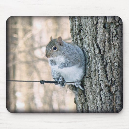 灰色リス – Sciurus carolinensis マウスパッド (正面)