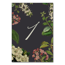 灰色植物のテーブル数 テーブルナンバー