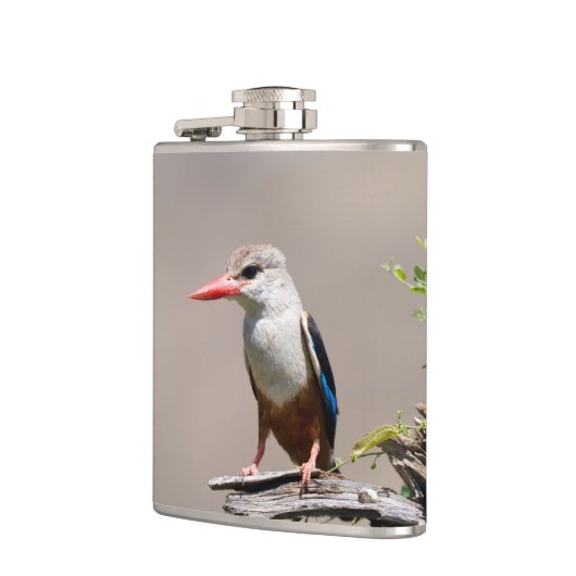 灰色毛のキクイ フラスク (左)