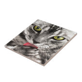 灰色猫 タイル (側面)