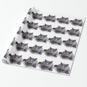 灰色猫 ラッピングペーパー